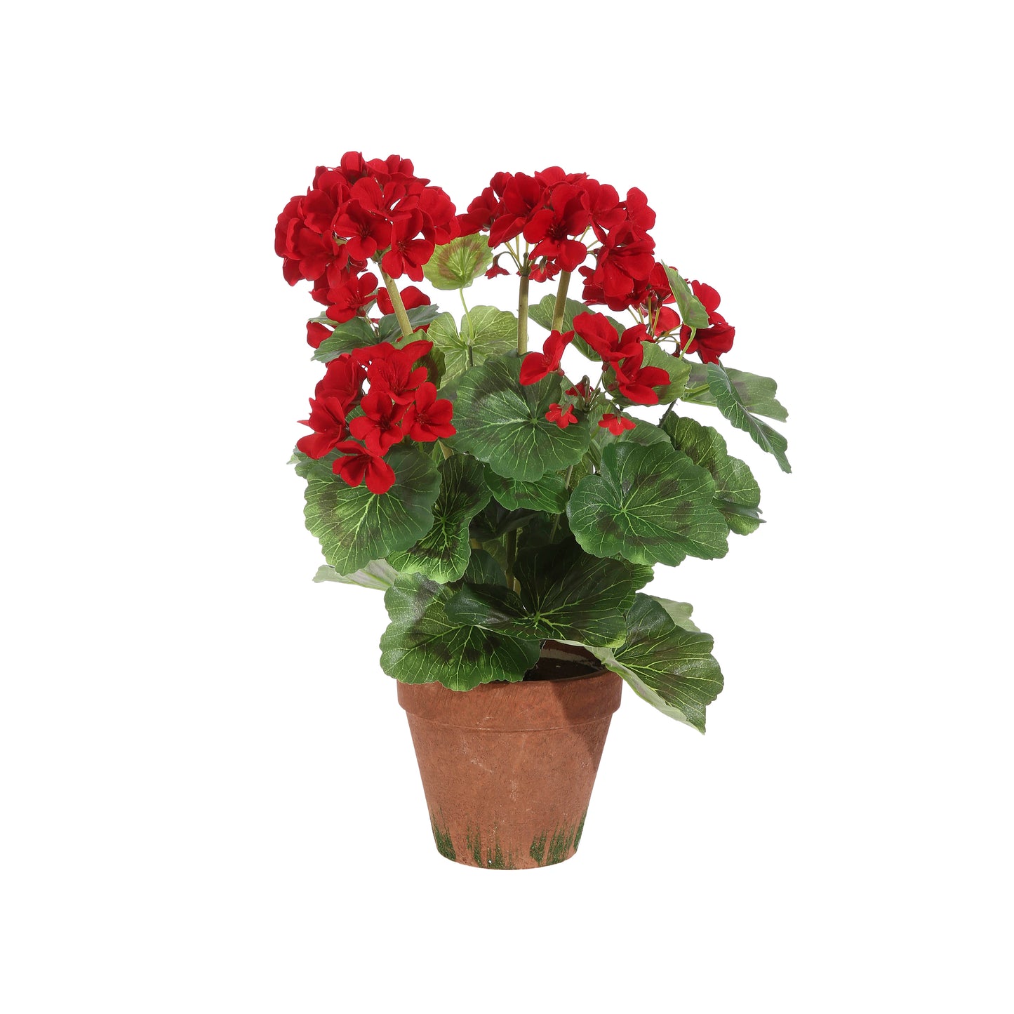 17" Potted Geranium
