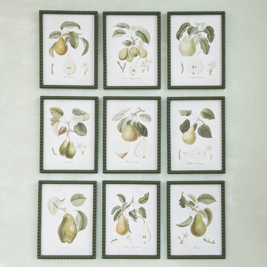 Hobnail Pear Prints