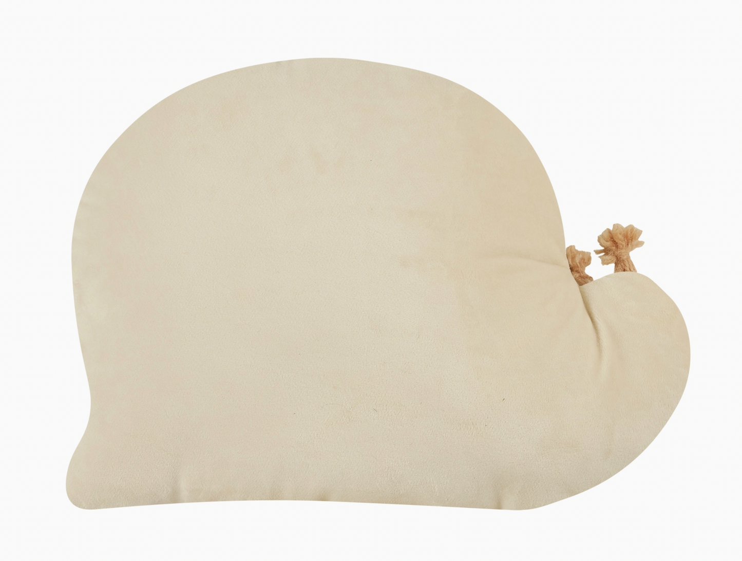 Snail Hooked Pillow