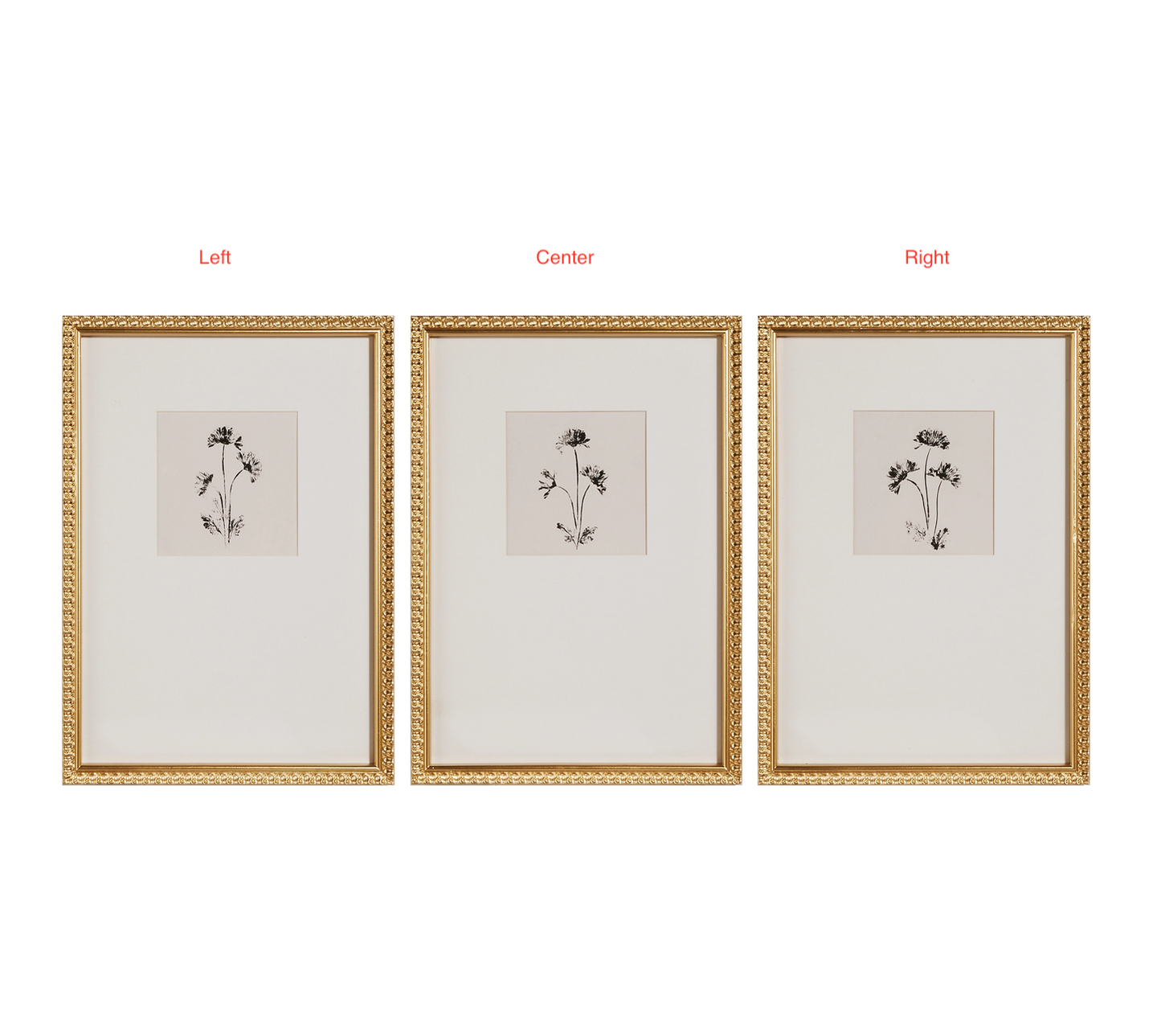 24" Ink Petals Wall Art