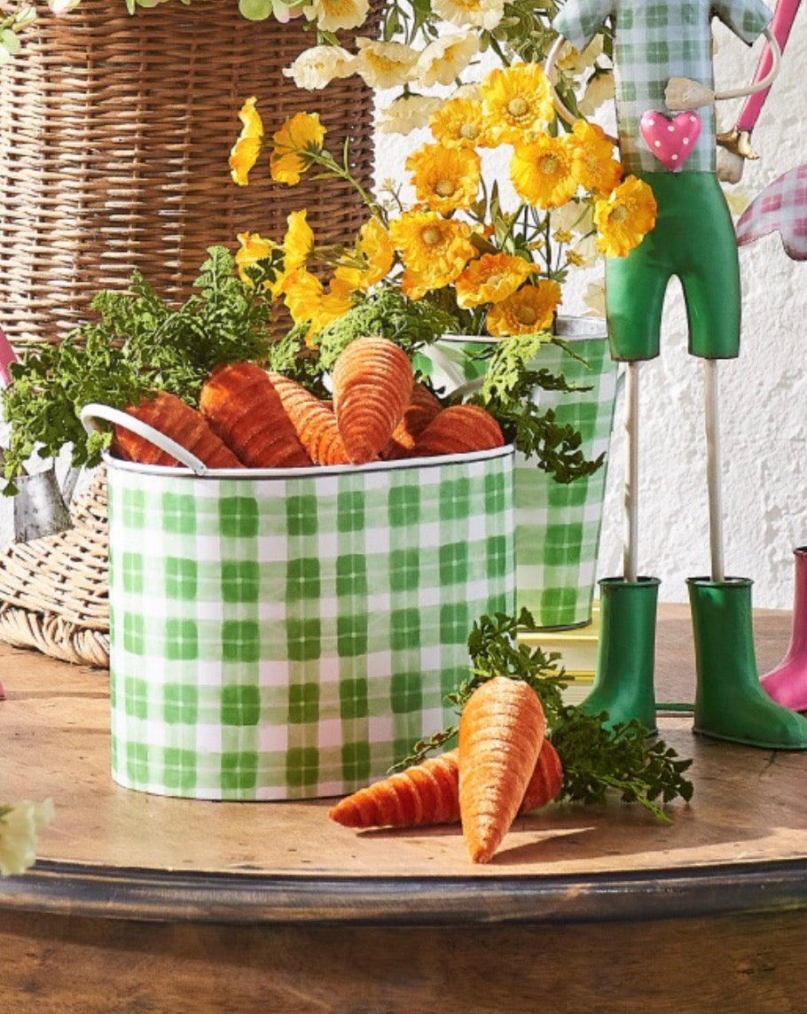 Bag of Carrots (6)