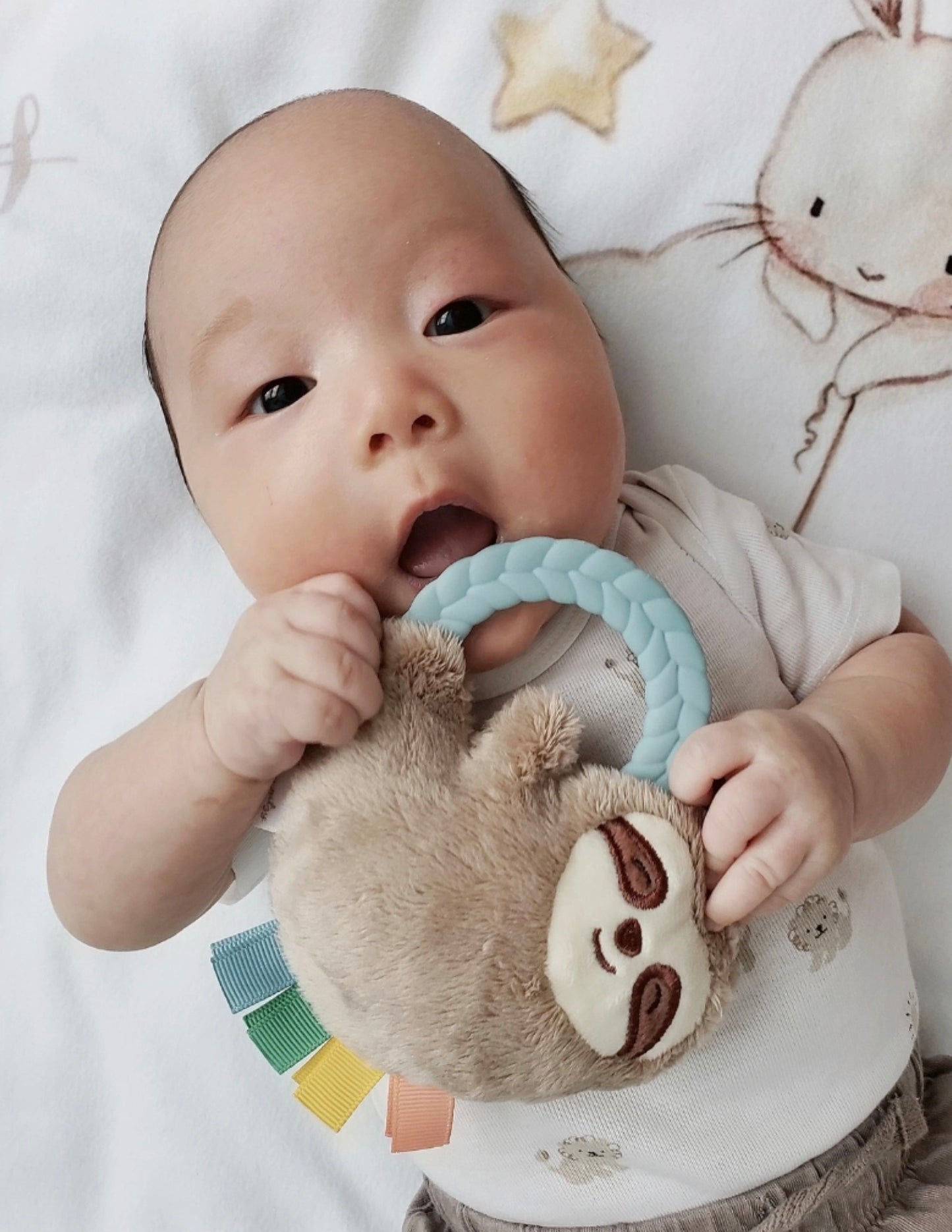 Ritzy Rattle Pal -Two Styles
