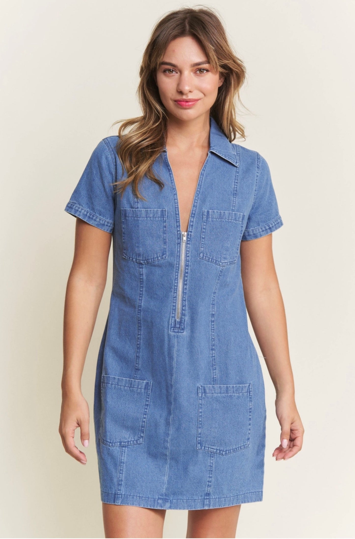 Hailey Denim Zip Dress