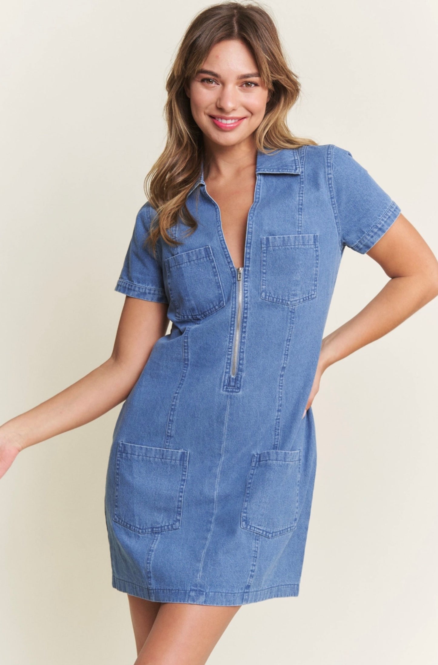 Hailey Denim Zip Dress