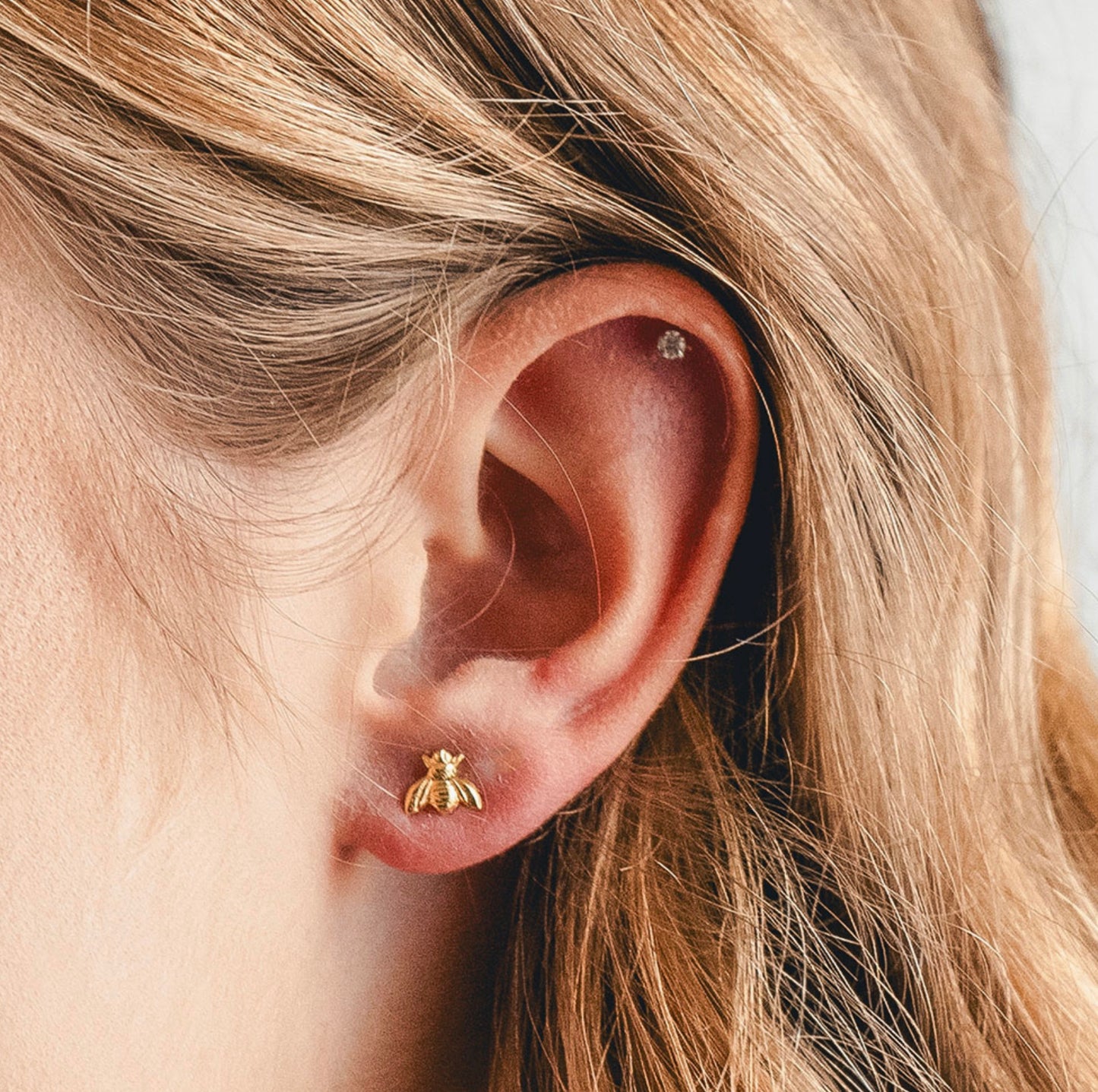 Honey Bee Studs