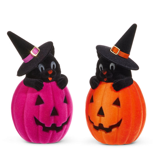 10" Velvet Cat in Jack-O-Lantern - Two Colors