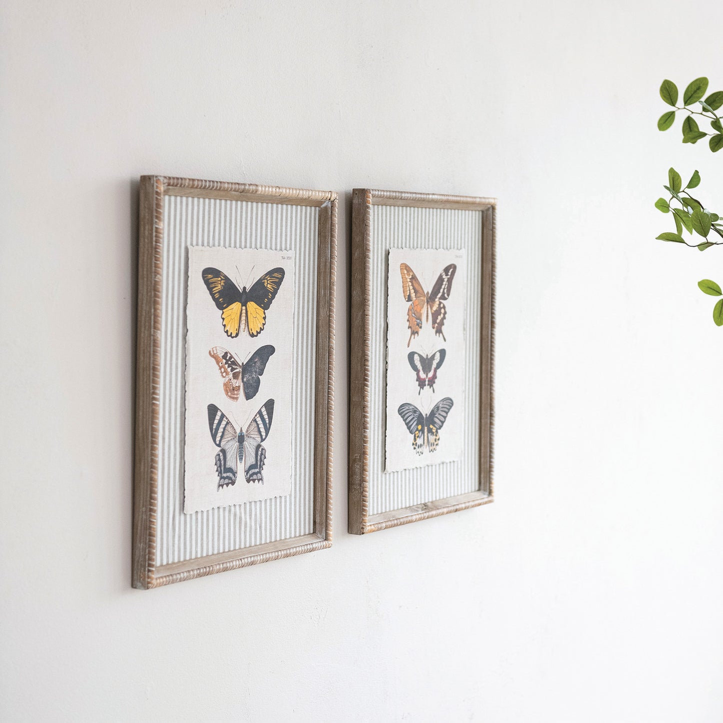 Wood Framed Butterflies Wall Art