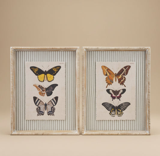Wood Framed Butterflies Wall Art