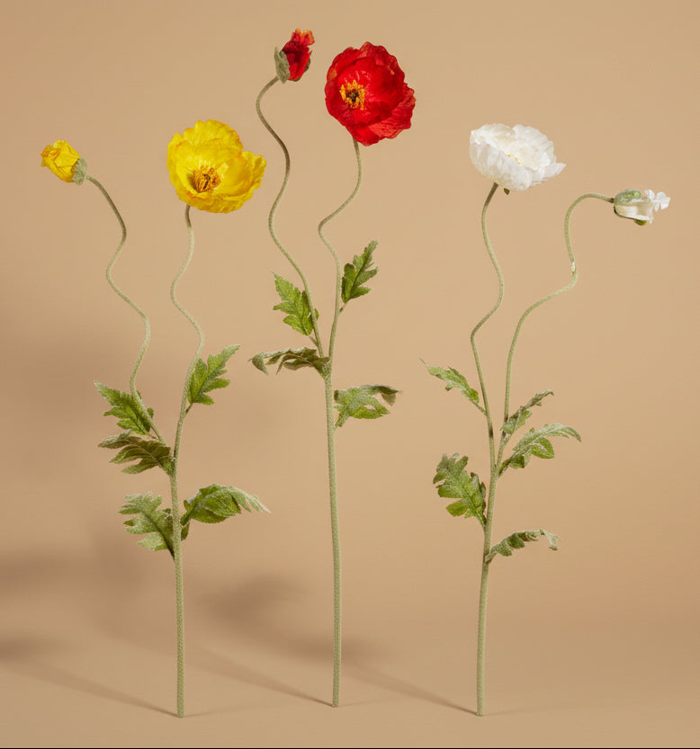 40" Poppy Stems