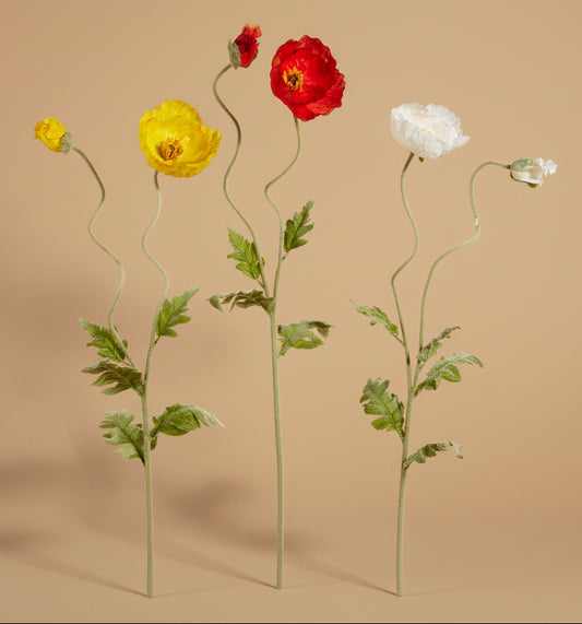 40" Poppy Stems