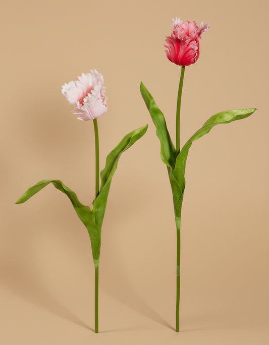 22.5" Real Touch Pink Parrot Tulip Stem
