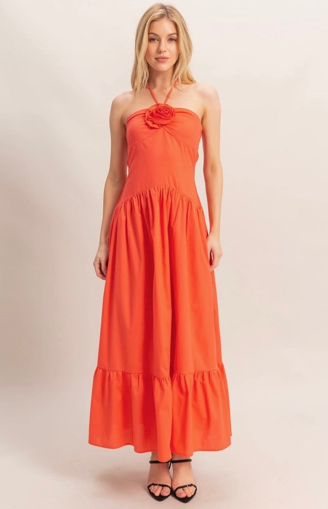 Parisian Rose Dress- Two Colors