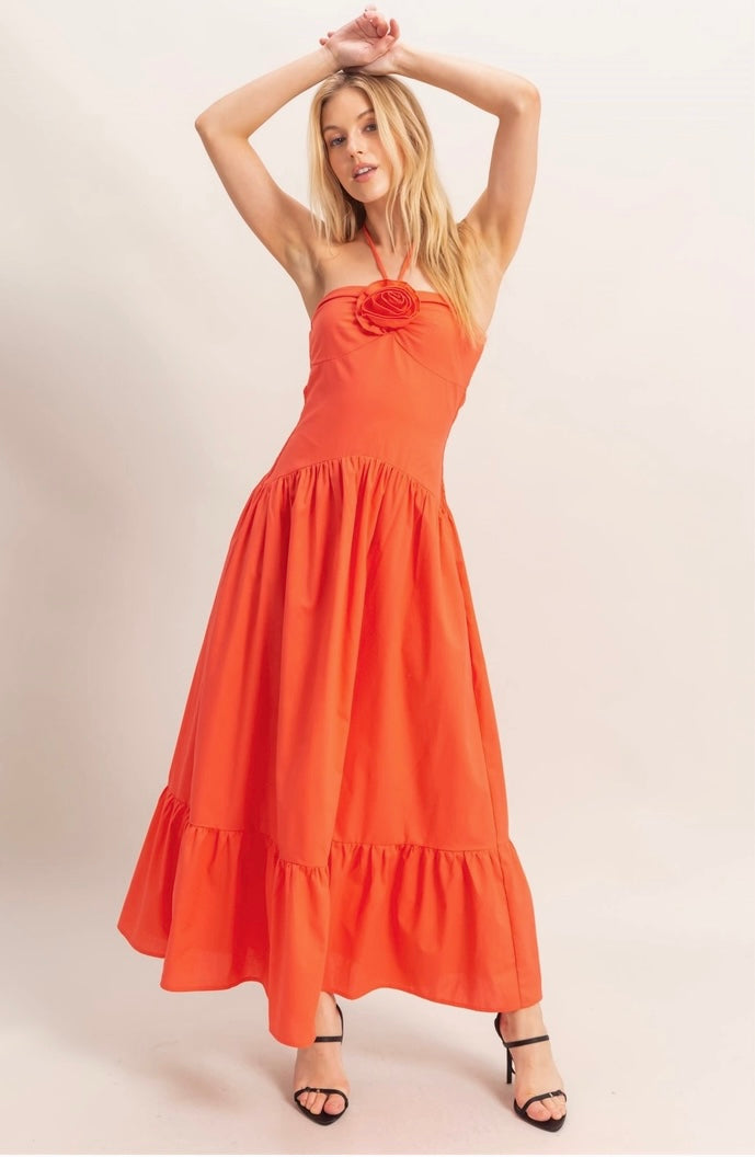 Parisian Rose Dress- Two Colors