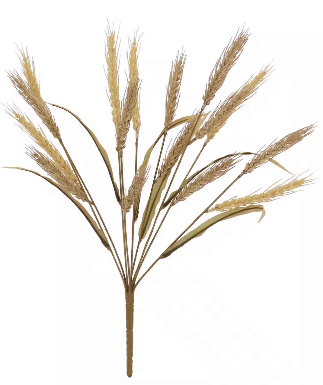 Wheat Bush Stem