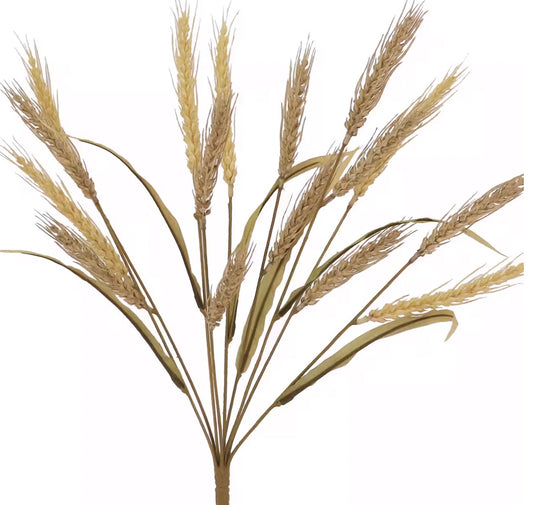 Wheat Bush Stem