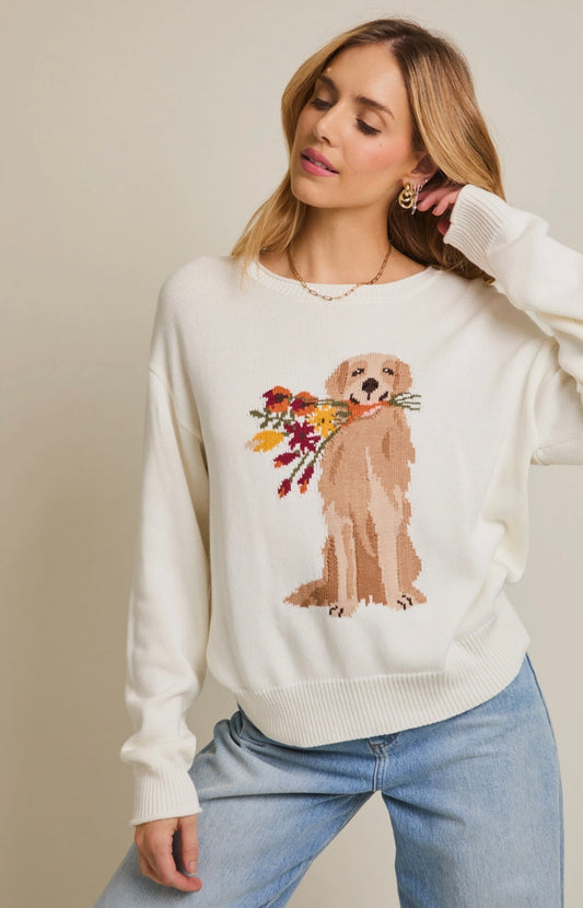 Dog Days Summer Sweater