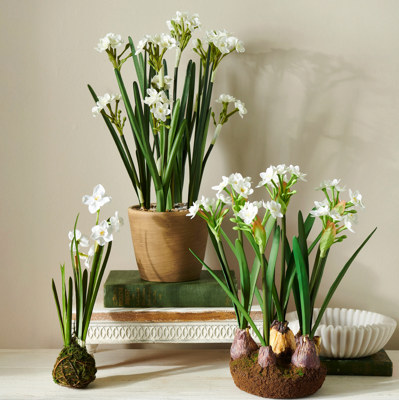 14" White Paperwhite Drop In