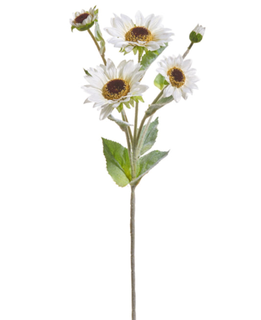 23.5" Italian White Sunflower Spray