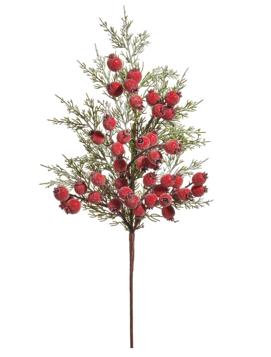 Iced Berry Pine Spray - Two Sizes