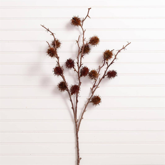 Rustic Gum Pod Branch